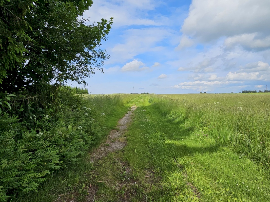 Haljala vald, Lihulõpe küla, Sooniku