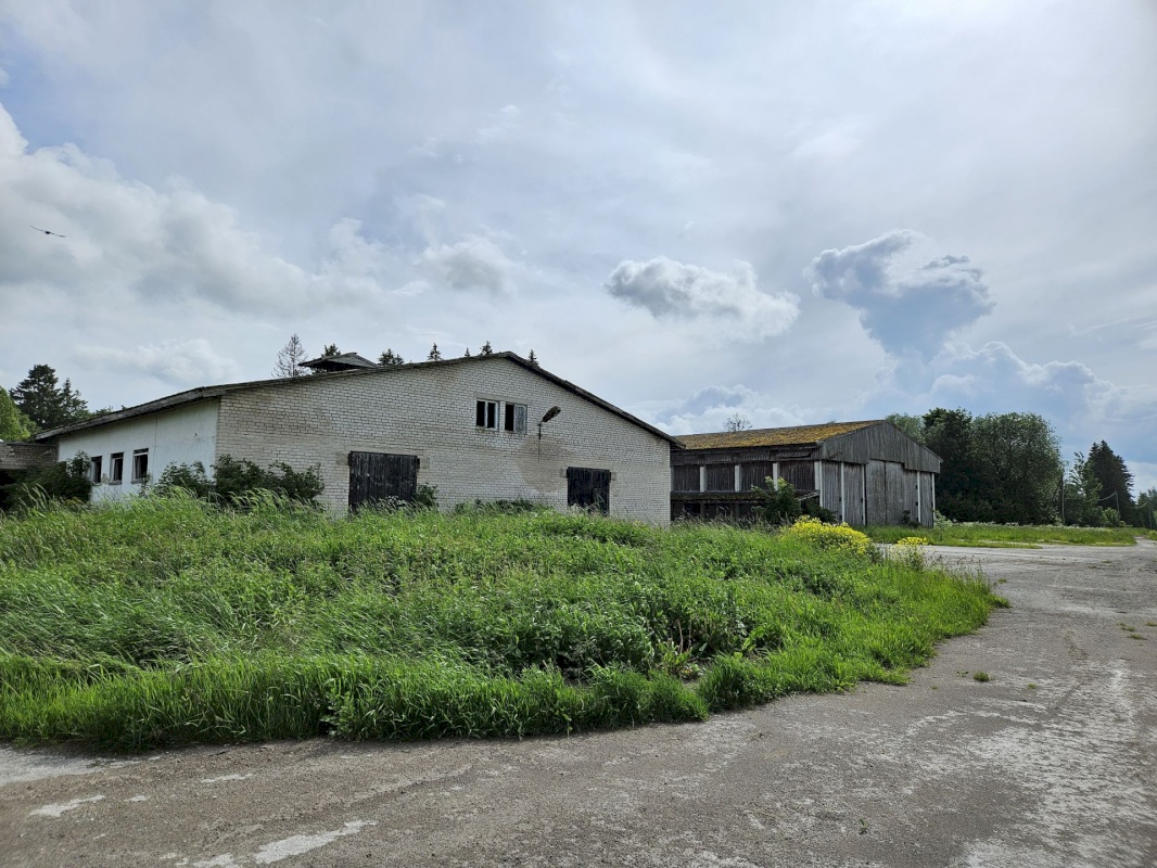 Rakvere vald, Veltsi küla, Mäekivi