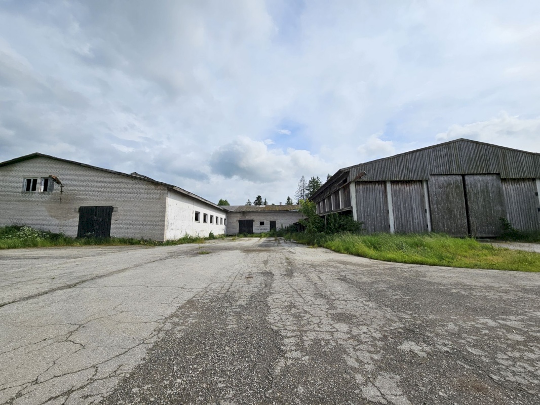 Rakvere vald, Veltsi küla, Mäekivi