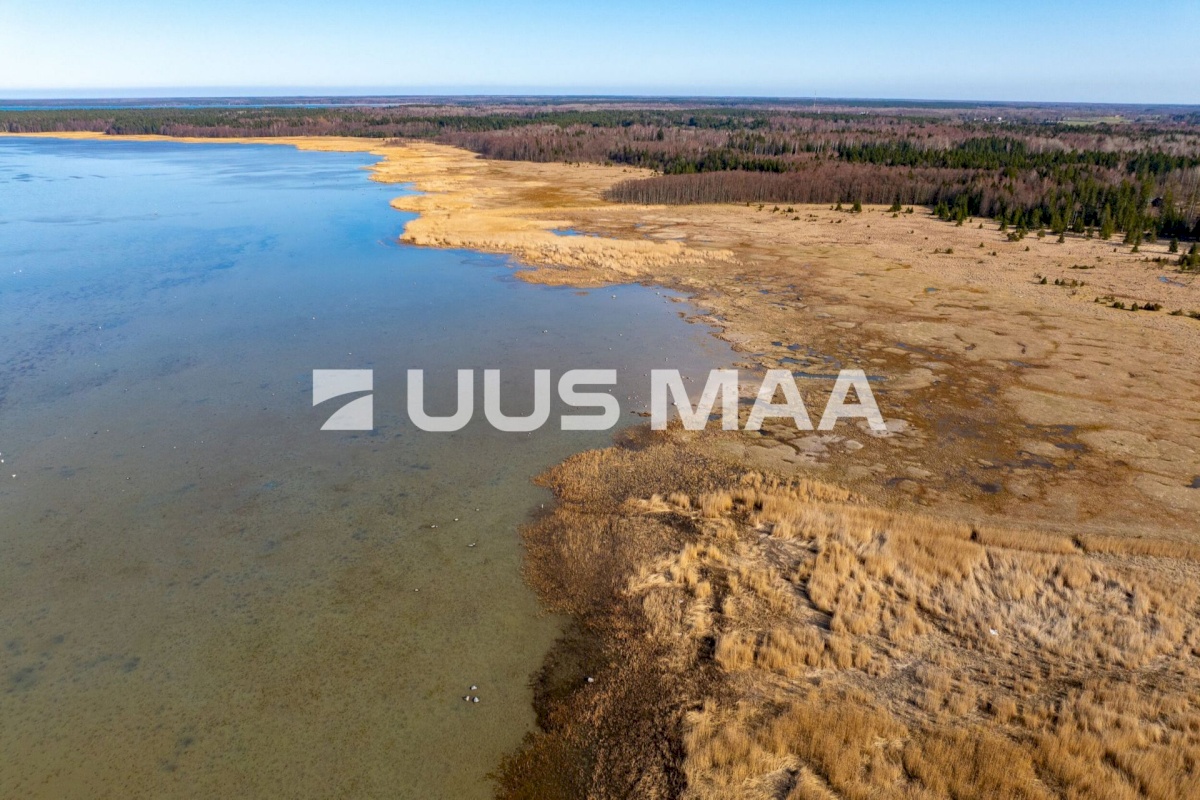 Saaremaa vald, Parasmetsa küla, Palmi ja Metsanurga