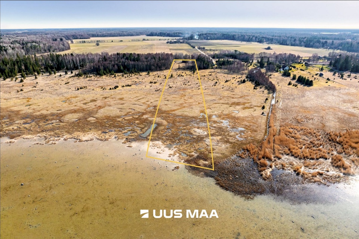 Saaremaa vald, Parasmetsa küla, Palmi ja Metsanurga