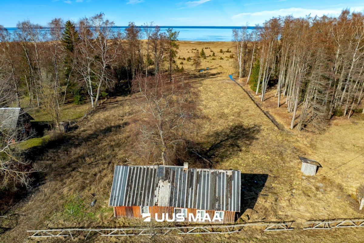 Saaremaa vald, Parasmetsa küla, Palmi ja Metsanurga