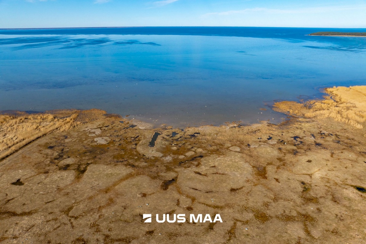Saaremaa vald, Parasmetsa küla, Palmi ja Metsanurga