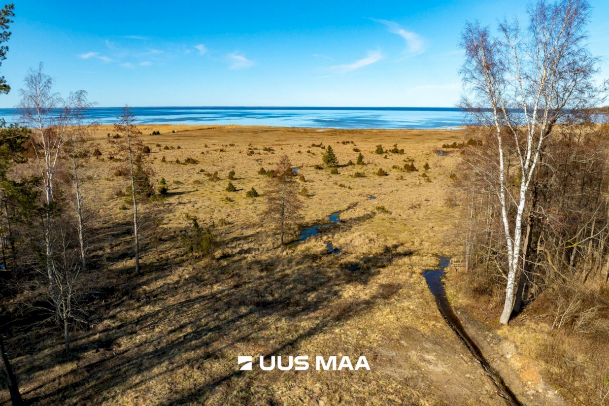 Saaremaa vald, Parasmetsa küla, Palmi ja Metsanurga