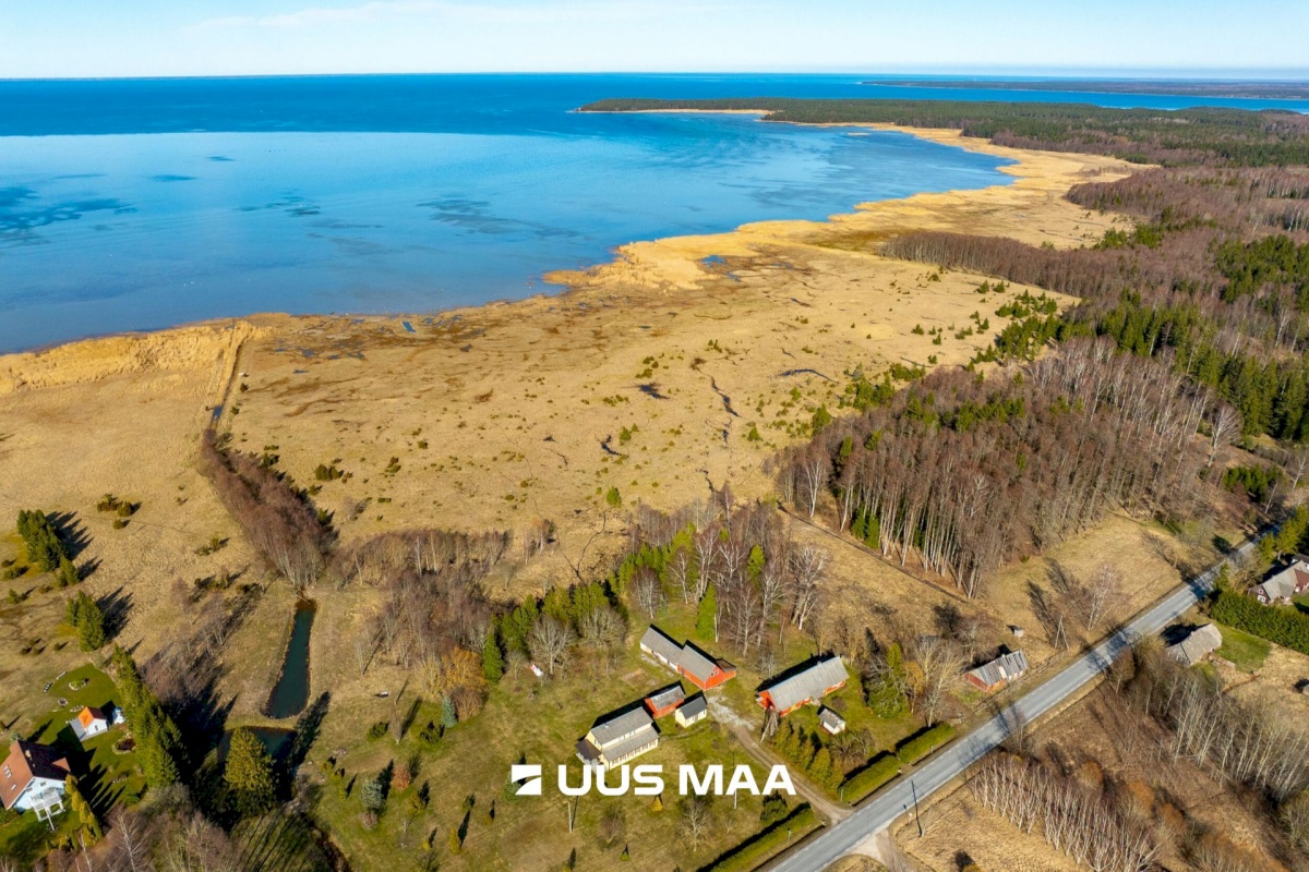 Saaremaa vald, Parasmetsa küla, Palmi ja Metsanurga