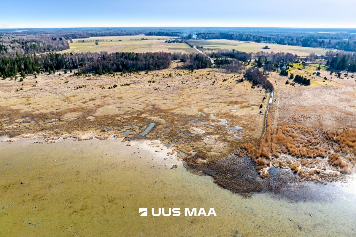 Saaremaa vald, Parasmetsa küla, Palmi ja Metsanurga