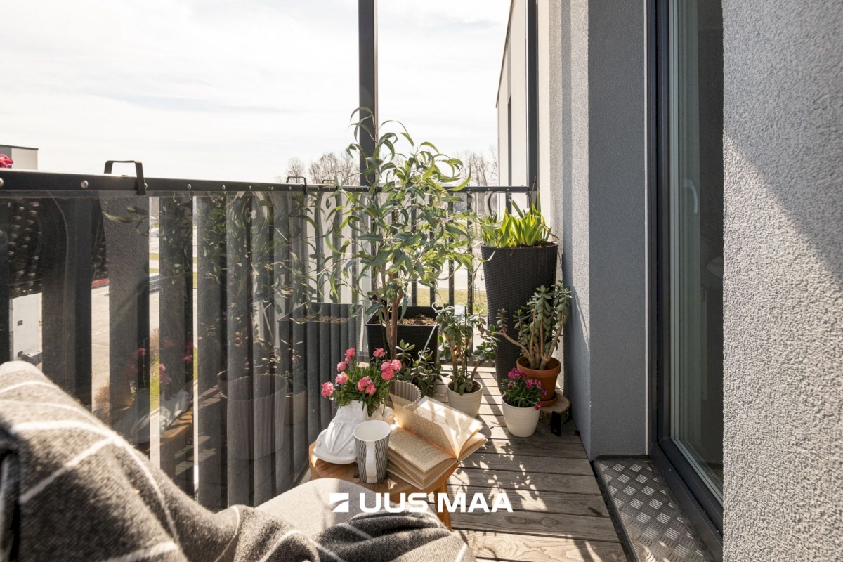 Tallinn, Haabersti linnaosa, Haabersti, Vanakuu 3