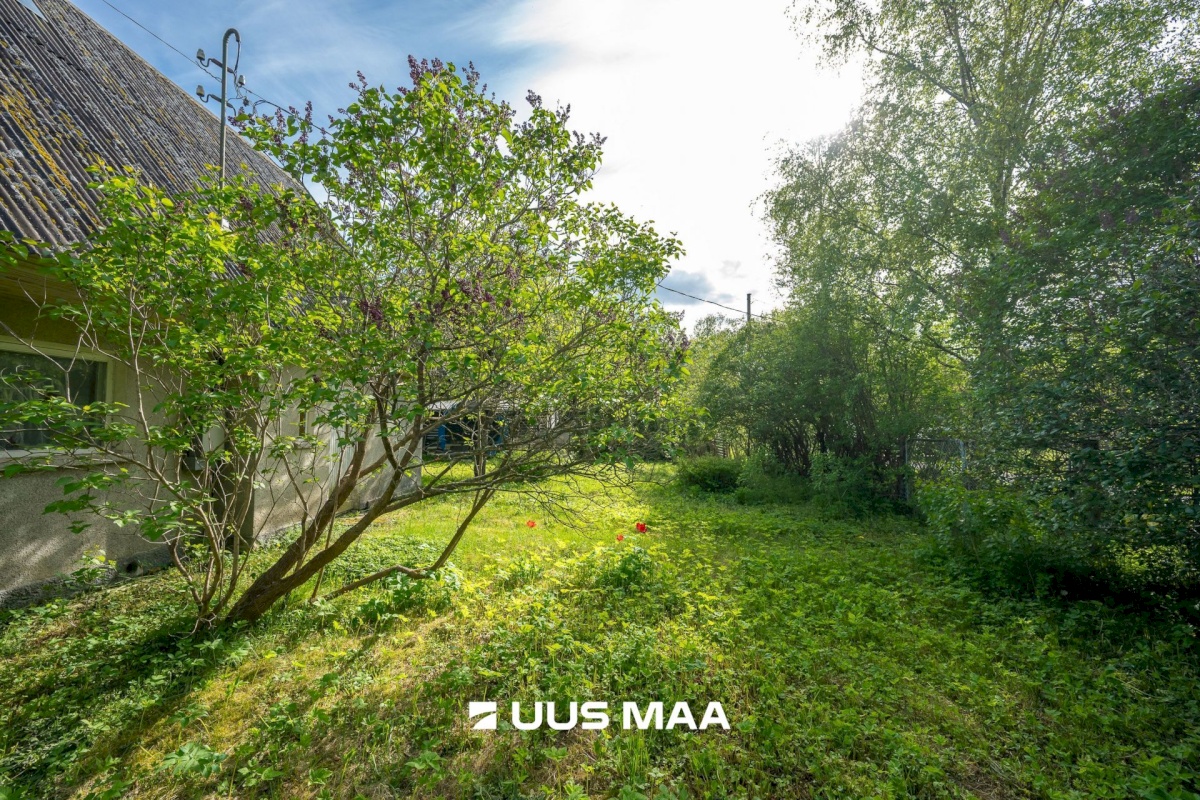 Maardu linn, Kassikulla 9