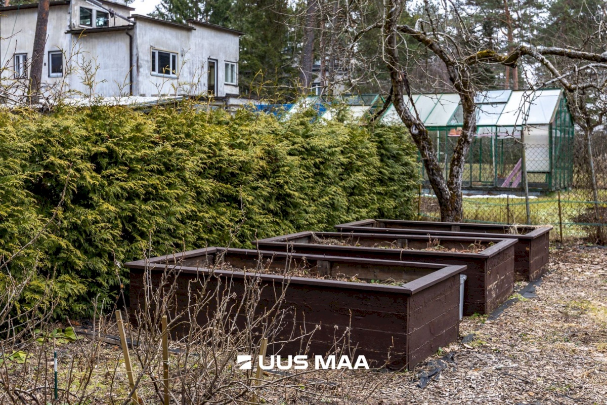 Tallinn, Nõmme linnaosa, Seene 20