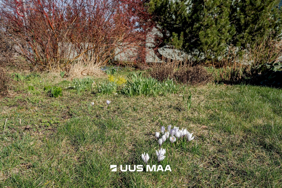 Võru linn, Vilja 17