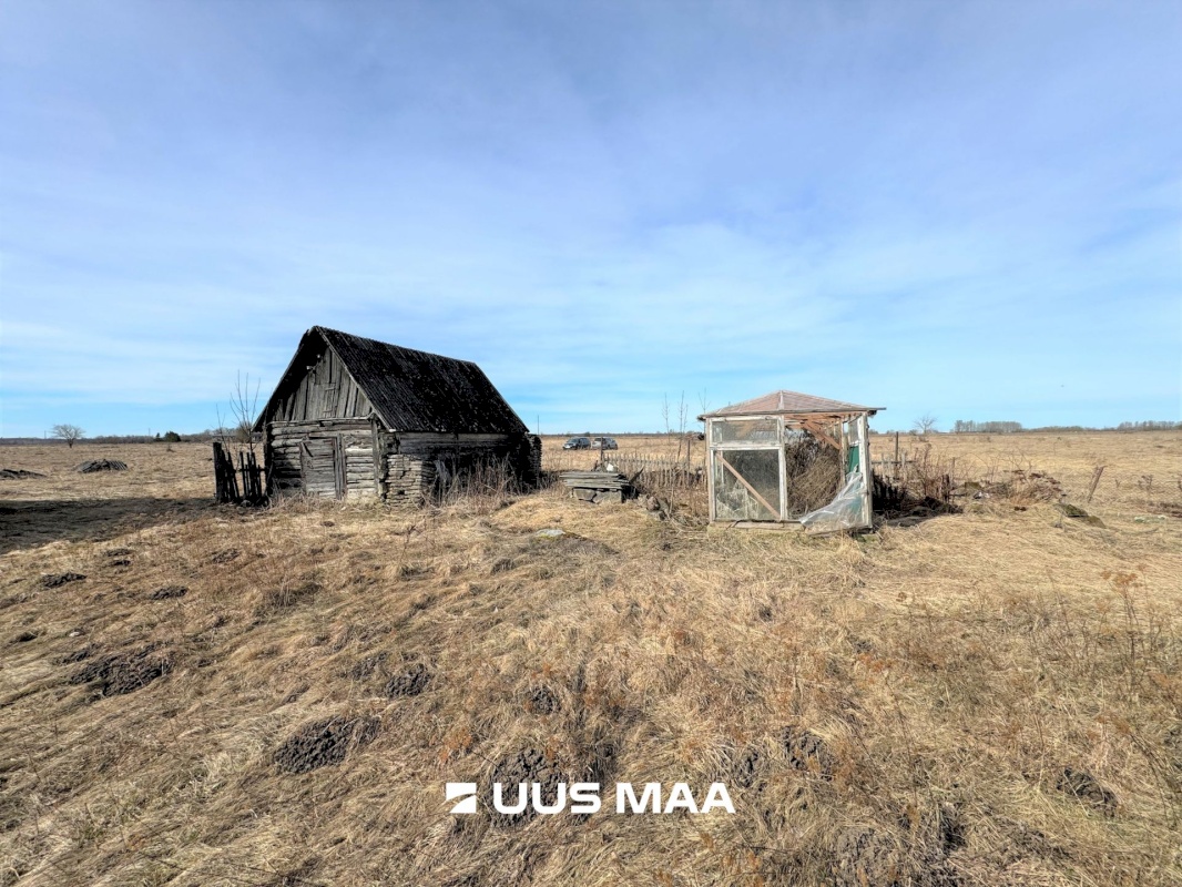 Viru-Nigula vald, Kutsala küla, Pikametsa