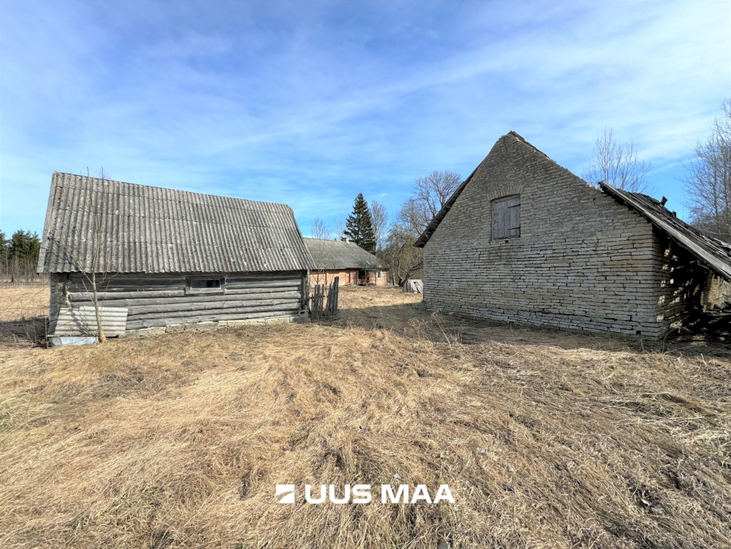 Viru-Nigula vald, Kutsala küla, Pikametsa