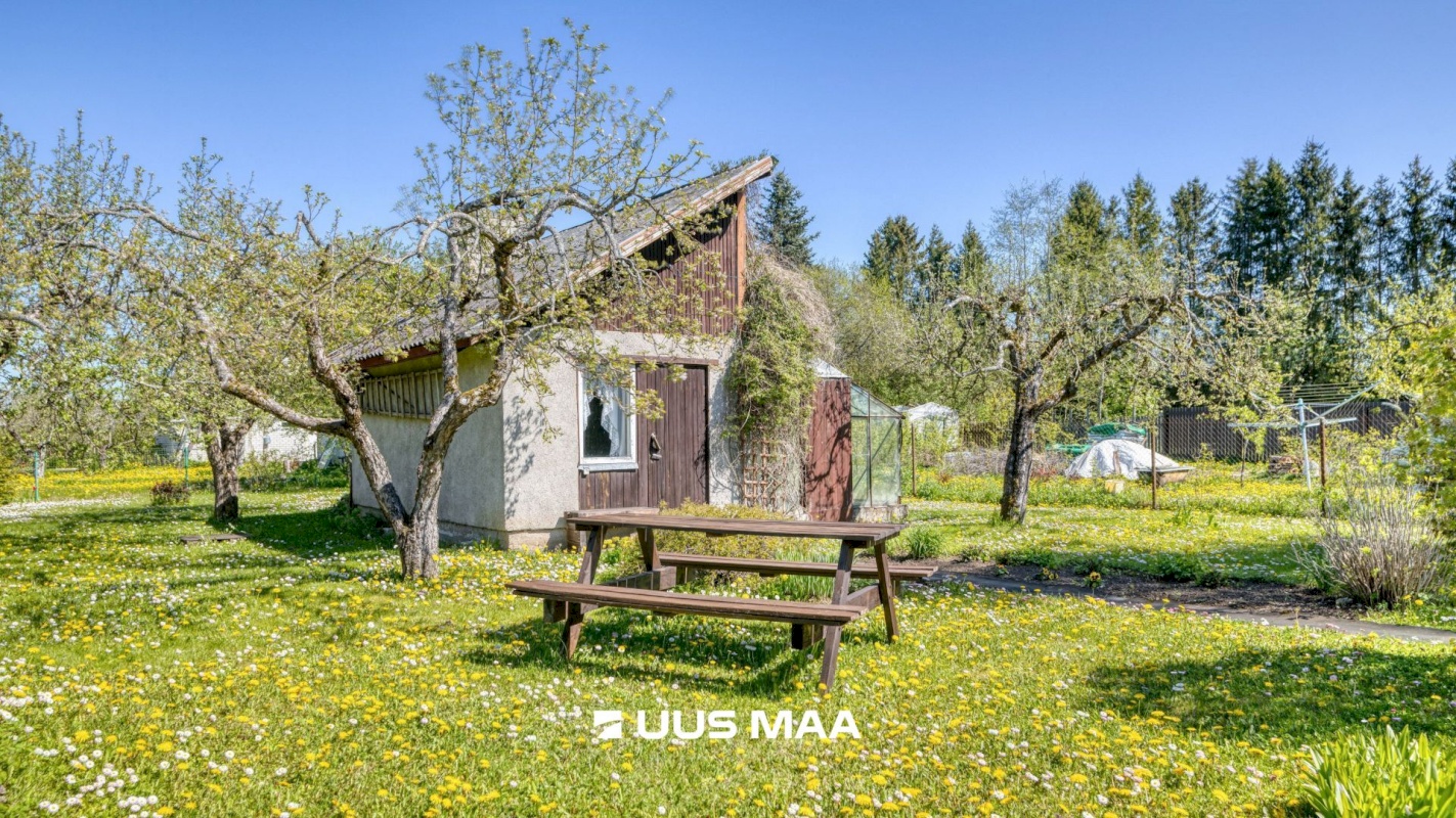 Saue vald, Kaasiku küla, Koidu AÜ 35
