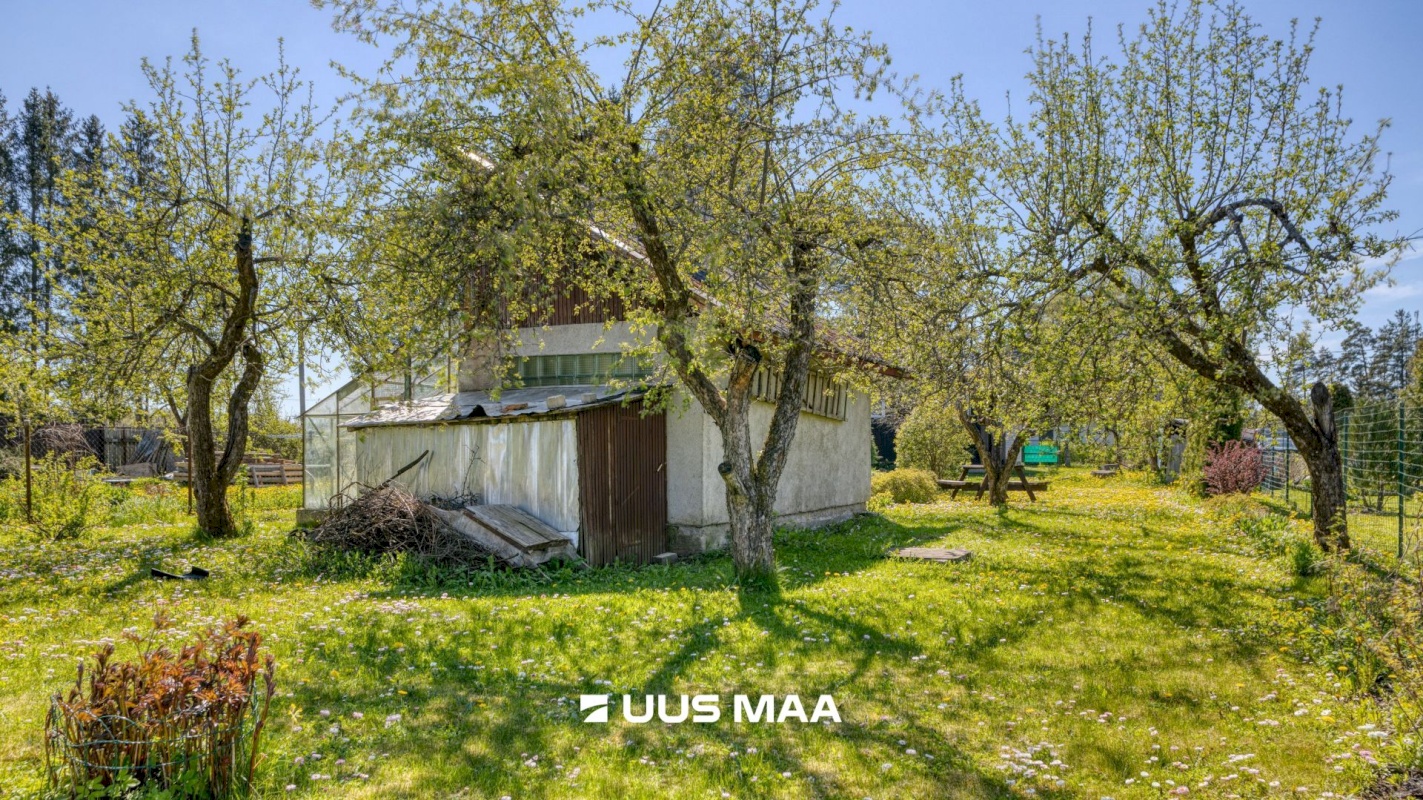 Saue vald, Kaasiku küla, Koidu AÜ 35