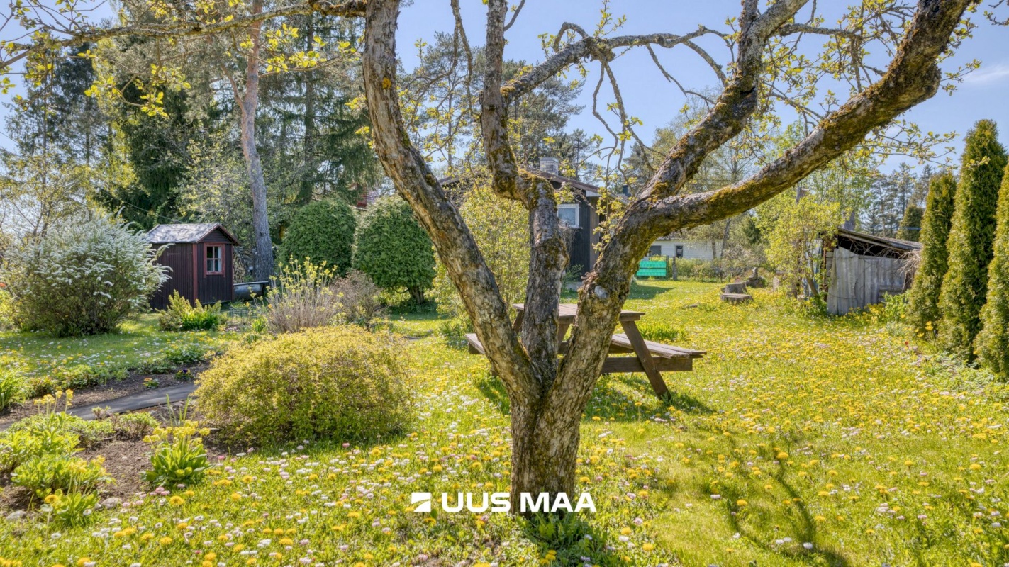 Saue vald, Kaasiku küla, Koidu AÜ 35