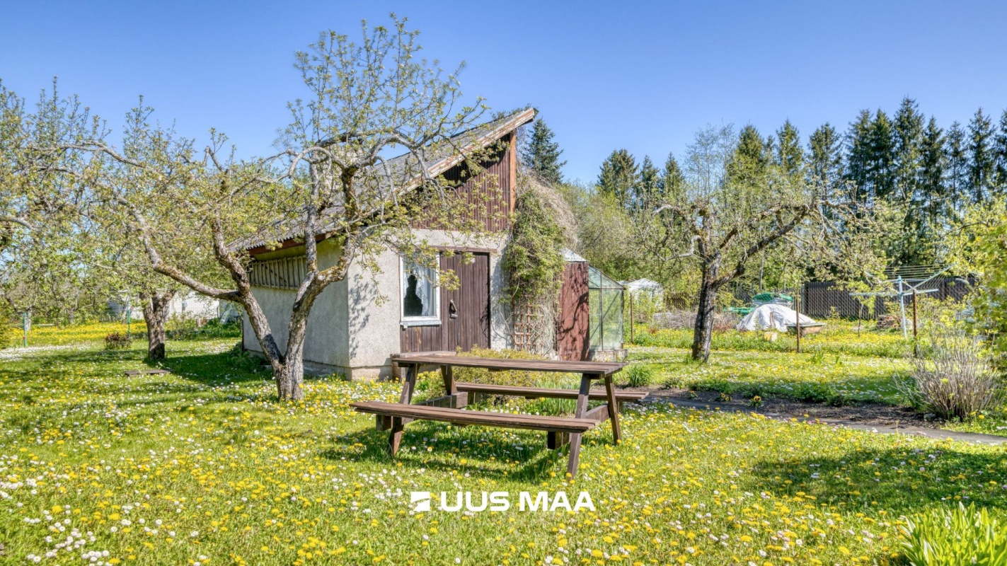 Saue vald, Kaasiku küla, Koidu AÜ 35