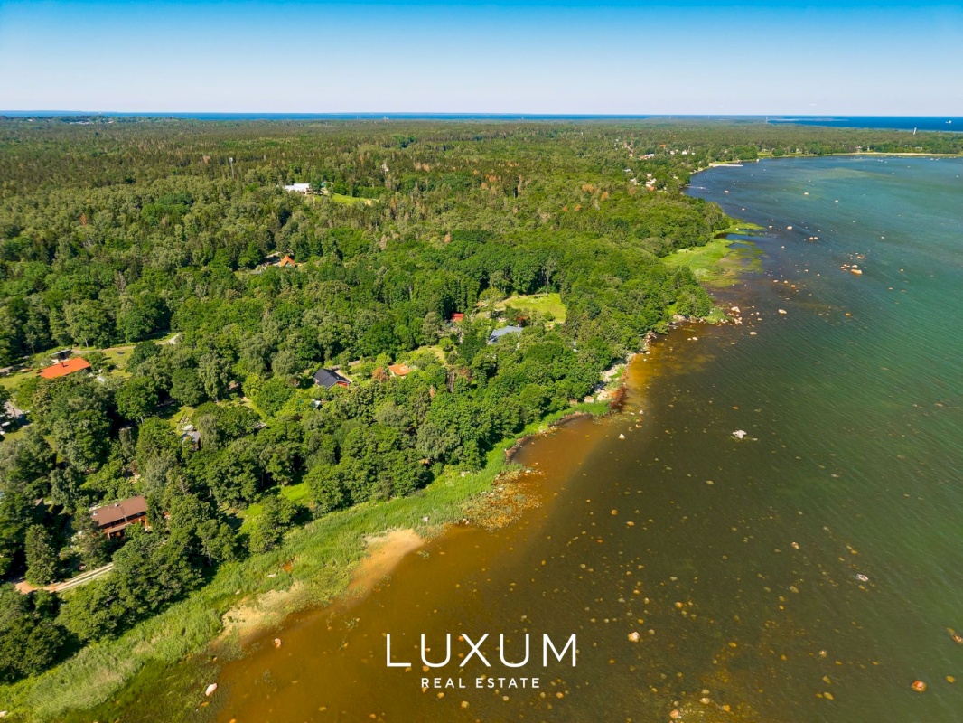 Viimsi vald, Tammneeme küla, Tammekivi tee 8