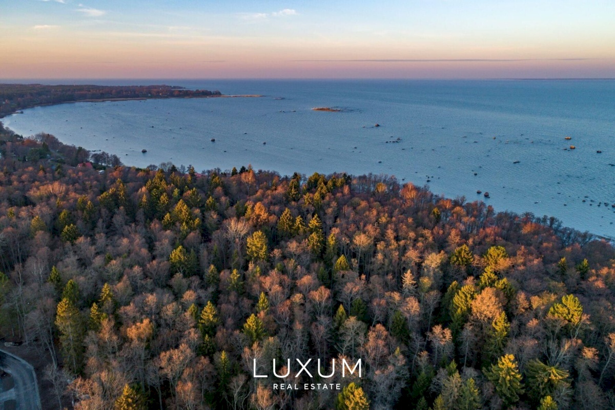 Viimsi vald, Tammneeme küla, Tammekivi tee 8