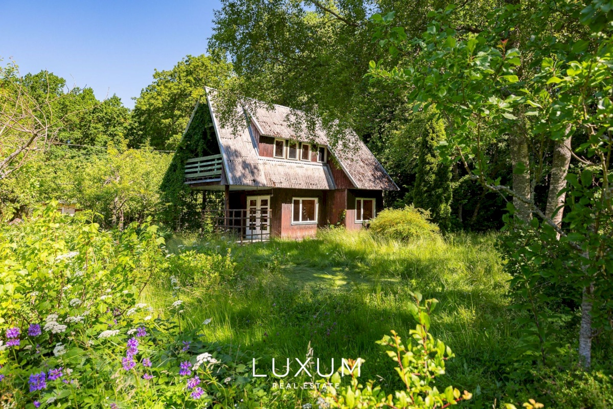 Viimsi vald, Tammneeme küla, Tammekivi tee 8