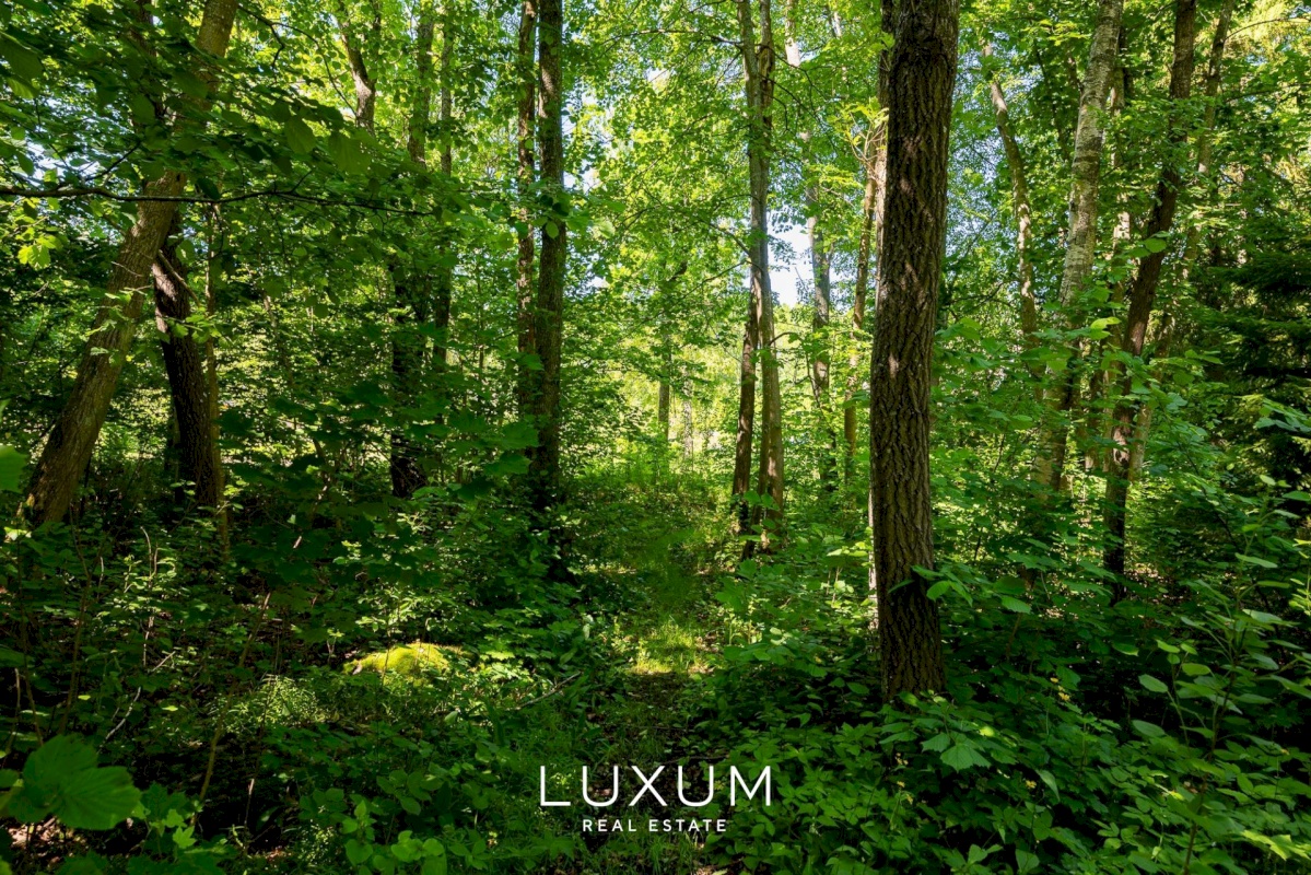 Viimsi vald, Tammneeme küla, Tammekivi tee 8