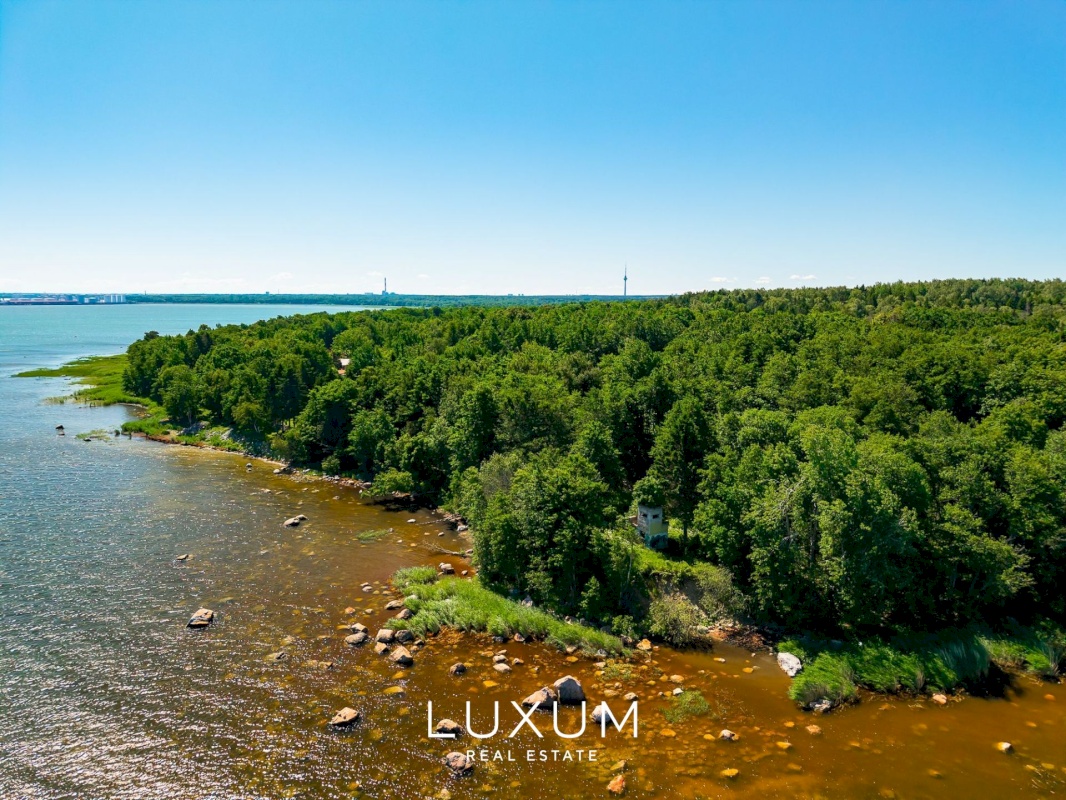 Viimsi vald, Tammneeme küla, Tammekivi tee 8