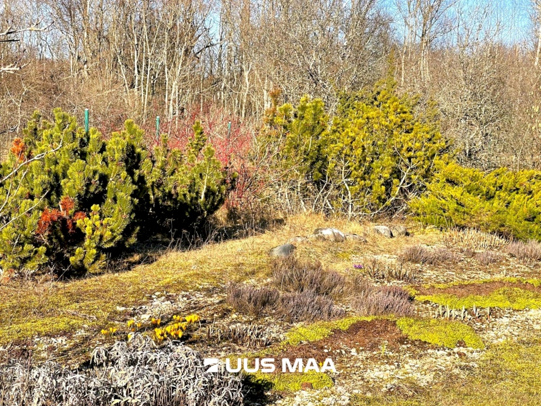 Lääne-Harju vald, Paldiski linn, Värvu tee 28