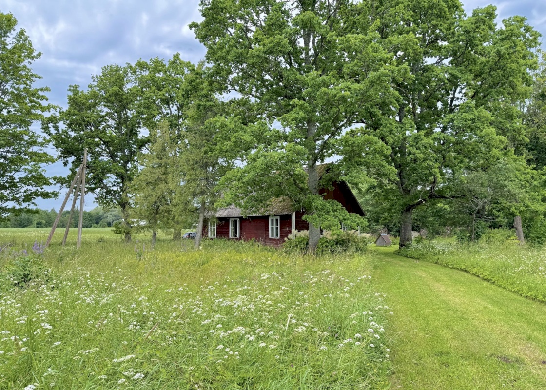 Mulgi vald, Laatre küla, Järve