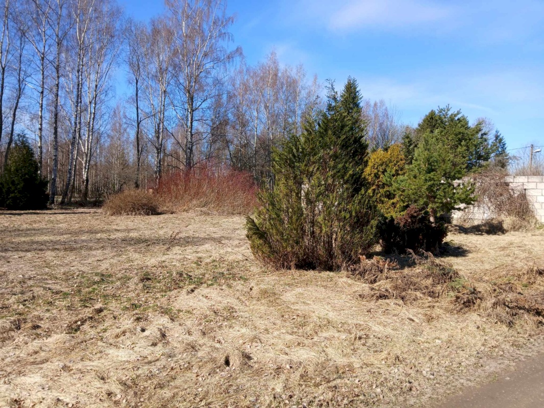 Pärnu linn, Ridalepa küla