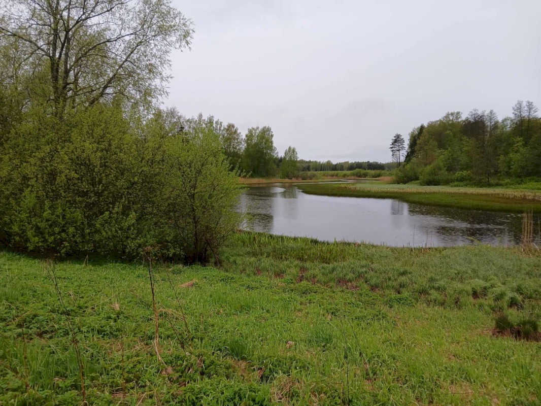 Pärnu linn, Ridalepa küla