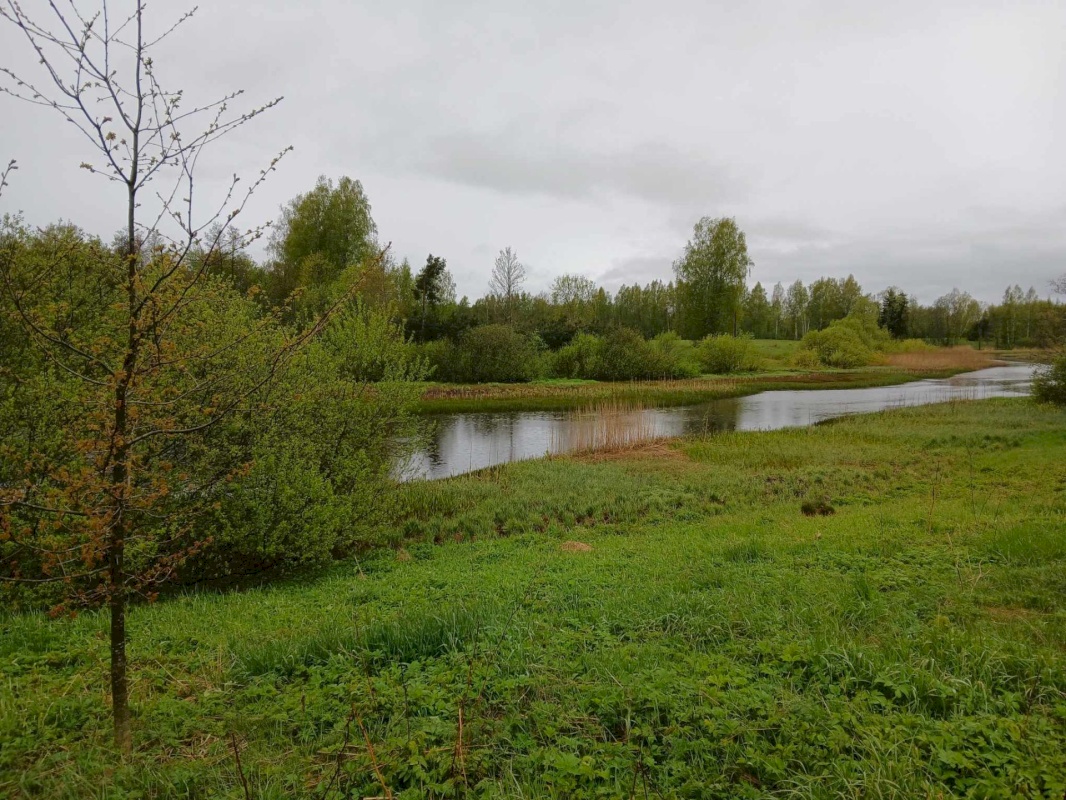 Pärnu linn, Ridalepa küla