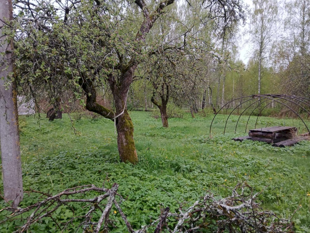 Pärnu linn, Ridalepa küla