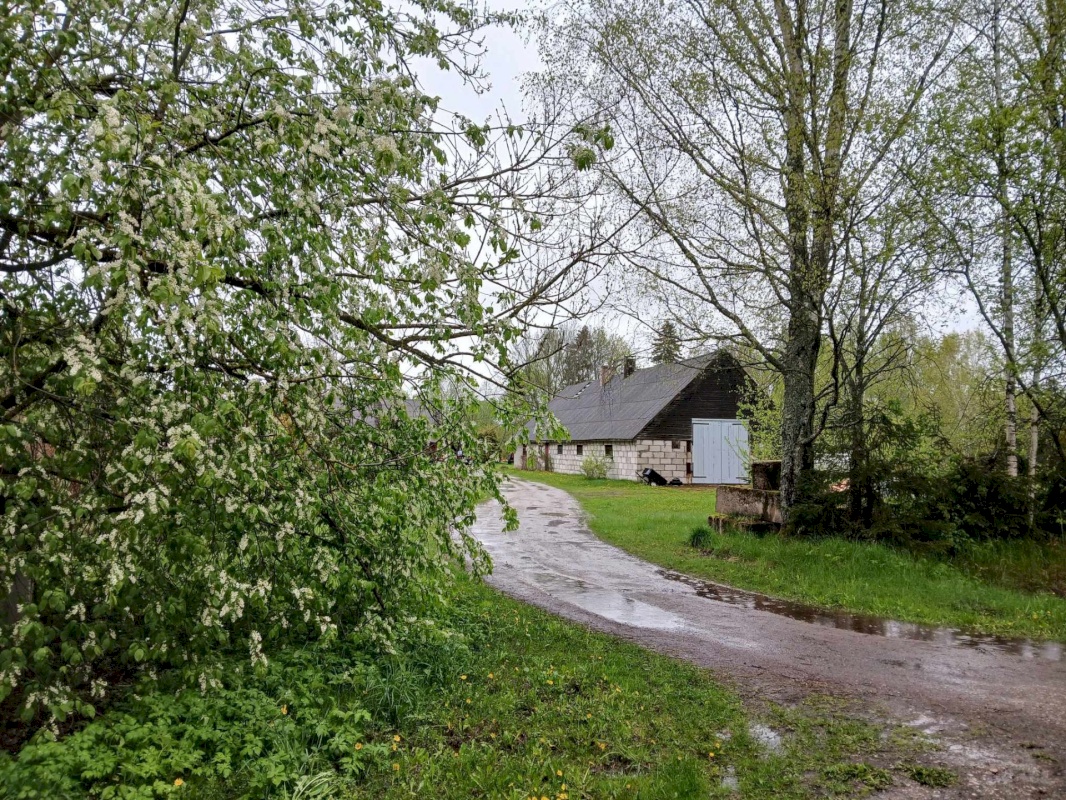 Pärnu linn, Ridalepa küla