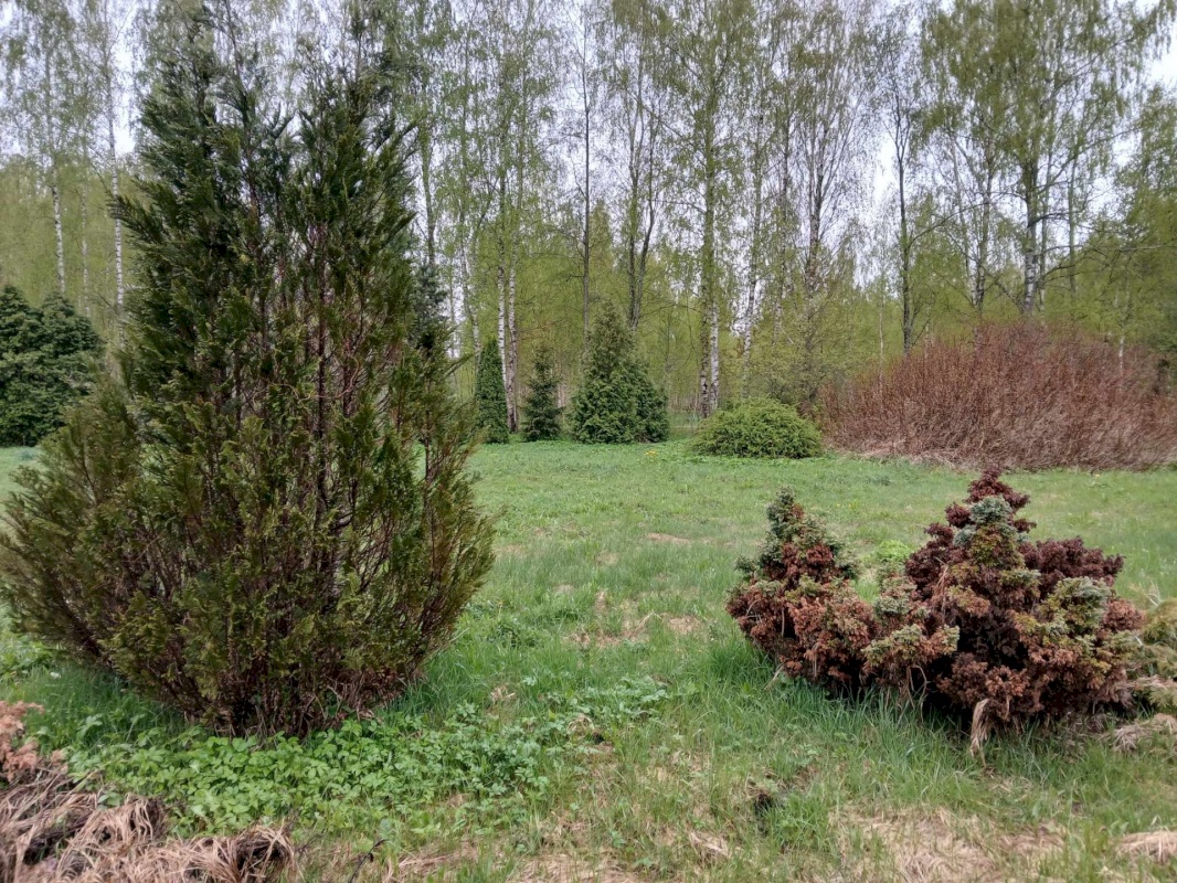 Pärnu linn, Ridalepa küla