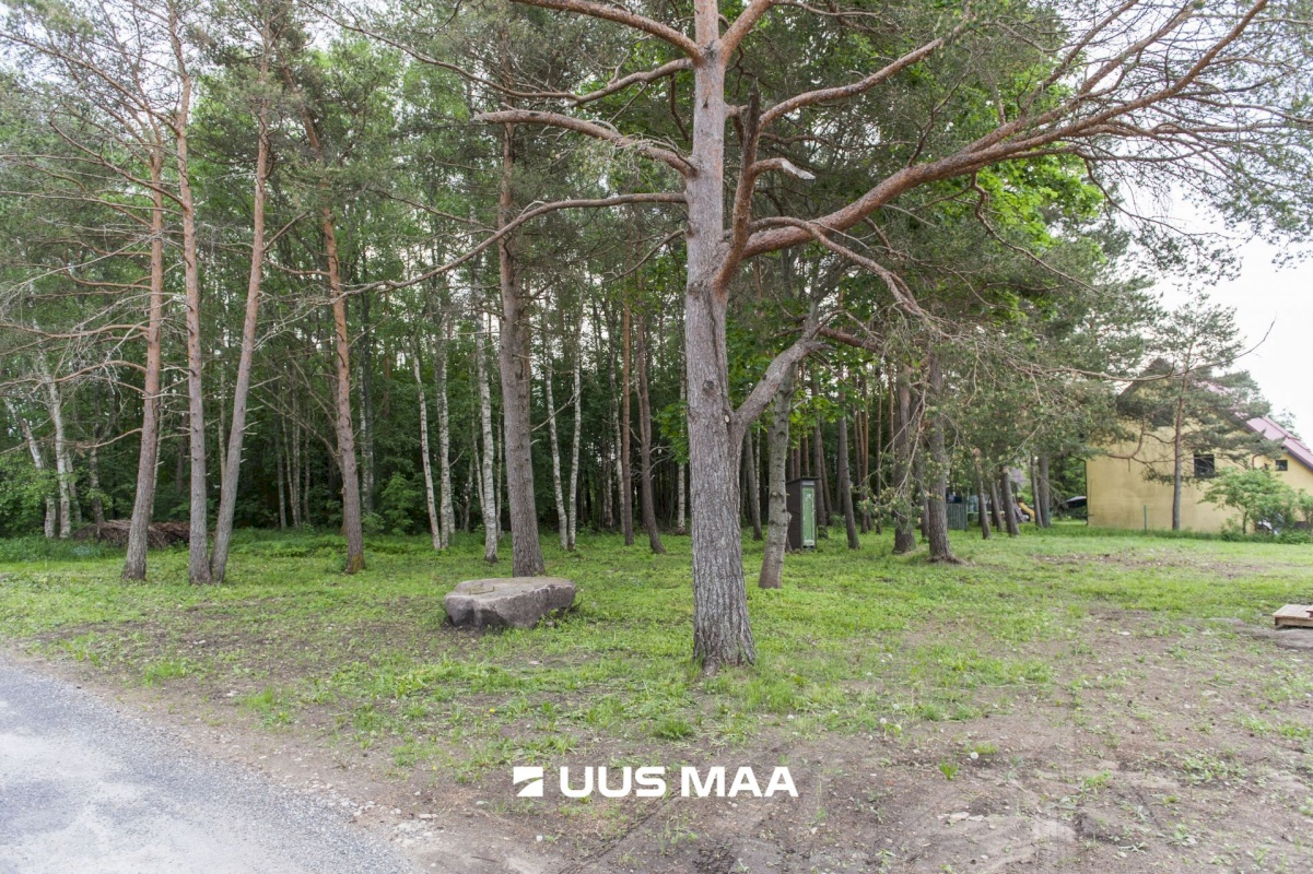 Harku vald, Türisalu küla, Lõunatuule tee 15