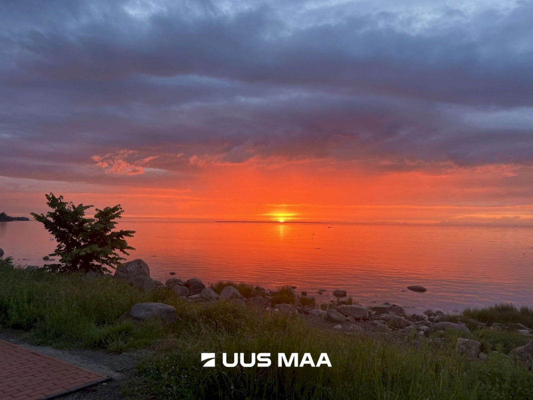 Tallinn, Põhja-Tallinna linnaosa, Sepa tn 28