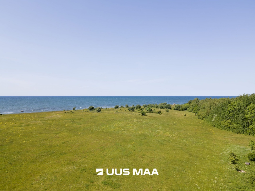 Saaremaa vald, Ohessaare küla, Tänava kinnistu