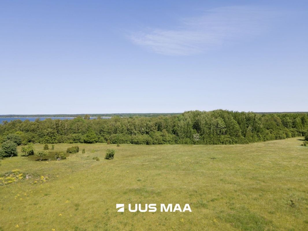 Saaremaa vald, Ohessaare küla, Tänava kinnistu