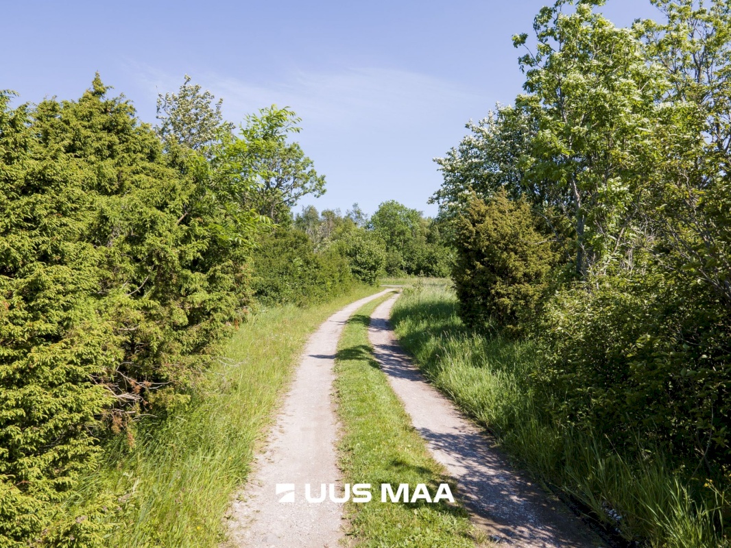 Saaremaa vald, Ohessaare küla, Tänava kinnistu