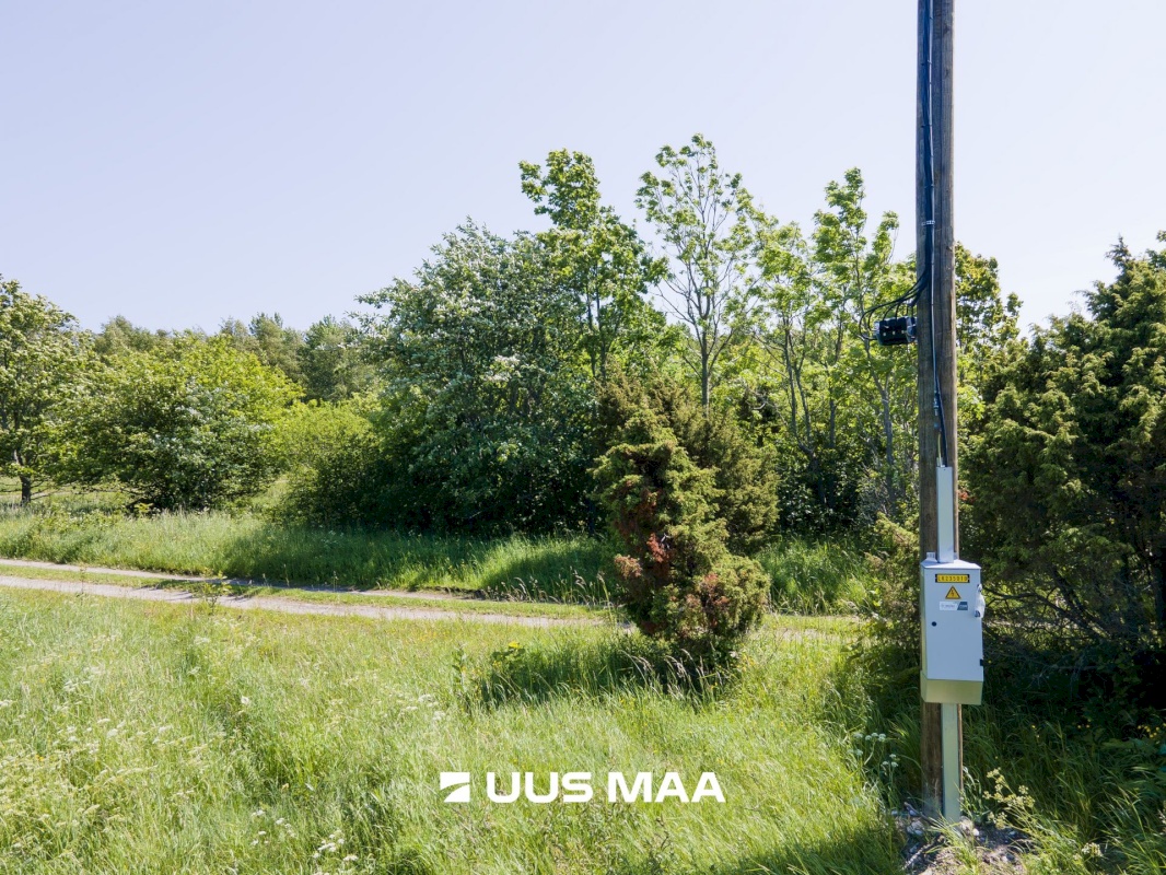 Saaremaa vald, Ohessaare küla, Tänava kinnistu