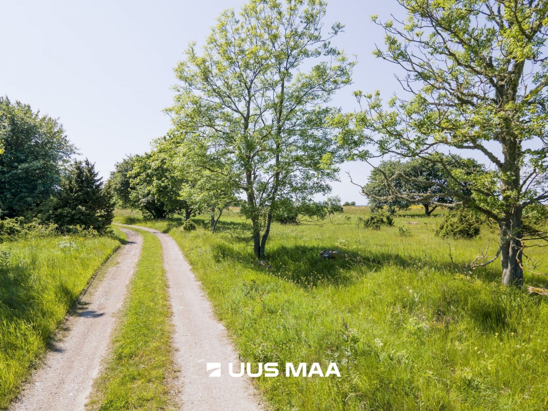 Saaremaa vald, Ohessaare küla, Tänava kinnistu