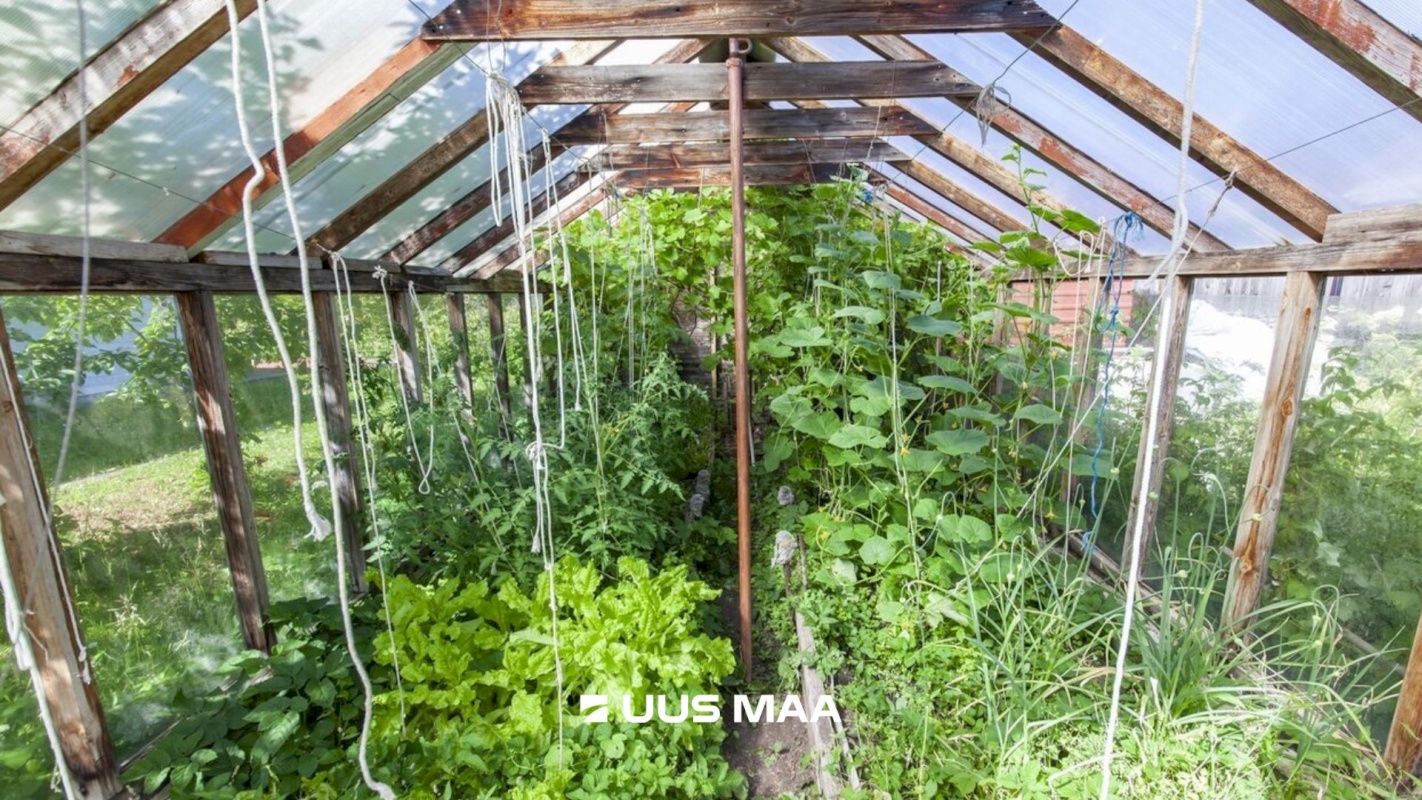 Lääne-Harju vald, Tuulna küla, Nelgi 31