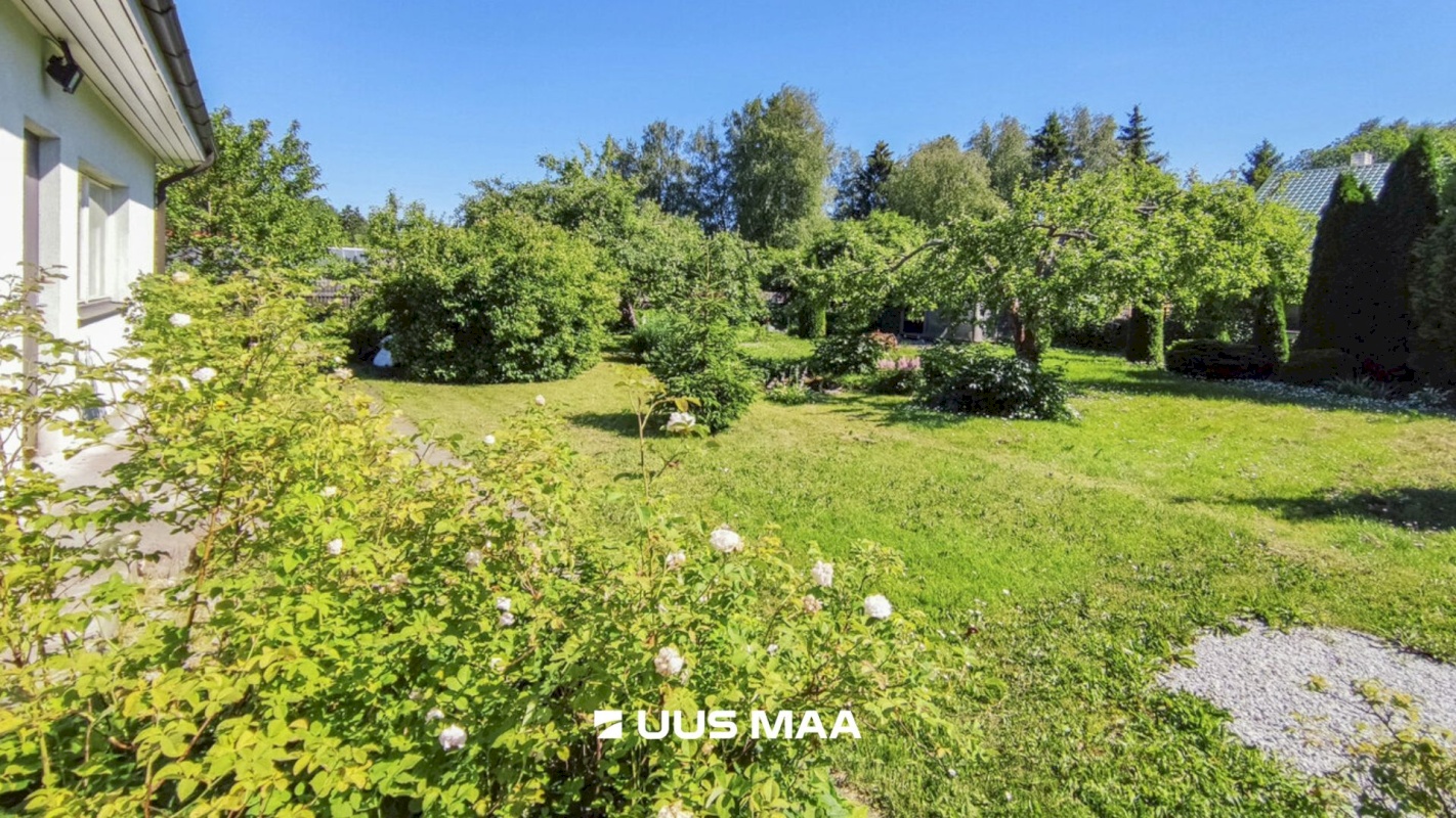 Lääne-Harju vald, Tuulna küla, Nelgi 31