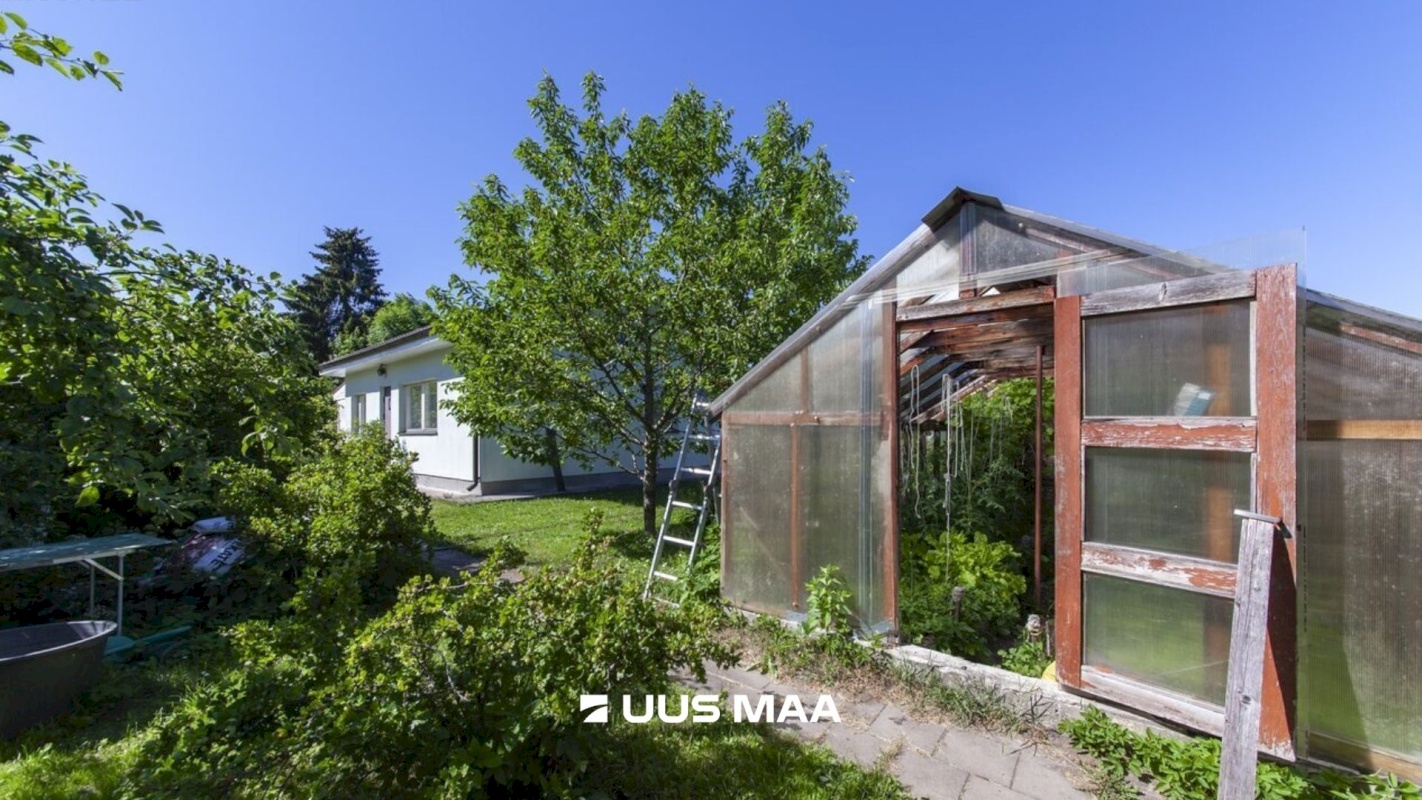 Lääne-Harju vald, Tuulna küla, Nelgi 31