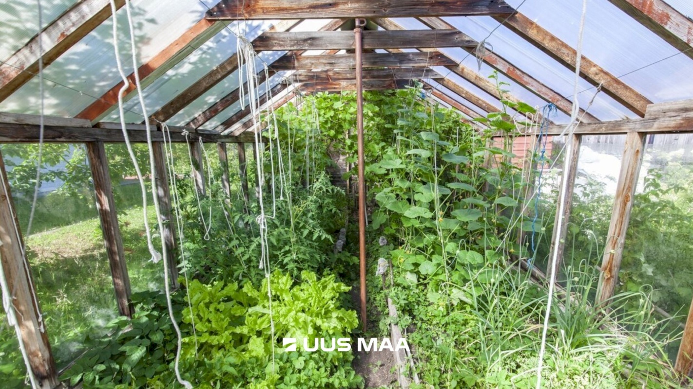 Lääne-Harju vald, Tuulna küla, Nelgi 31