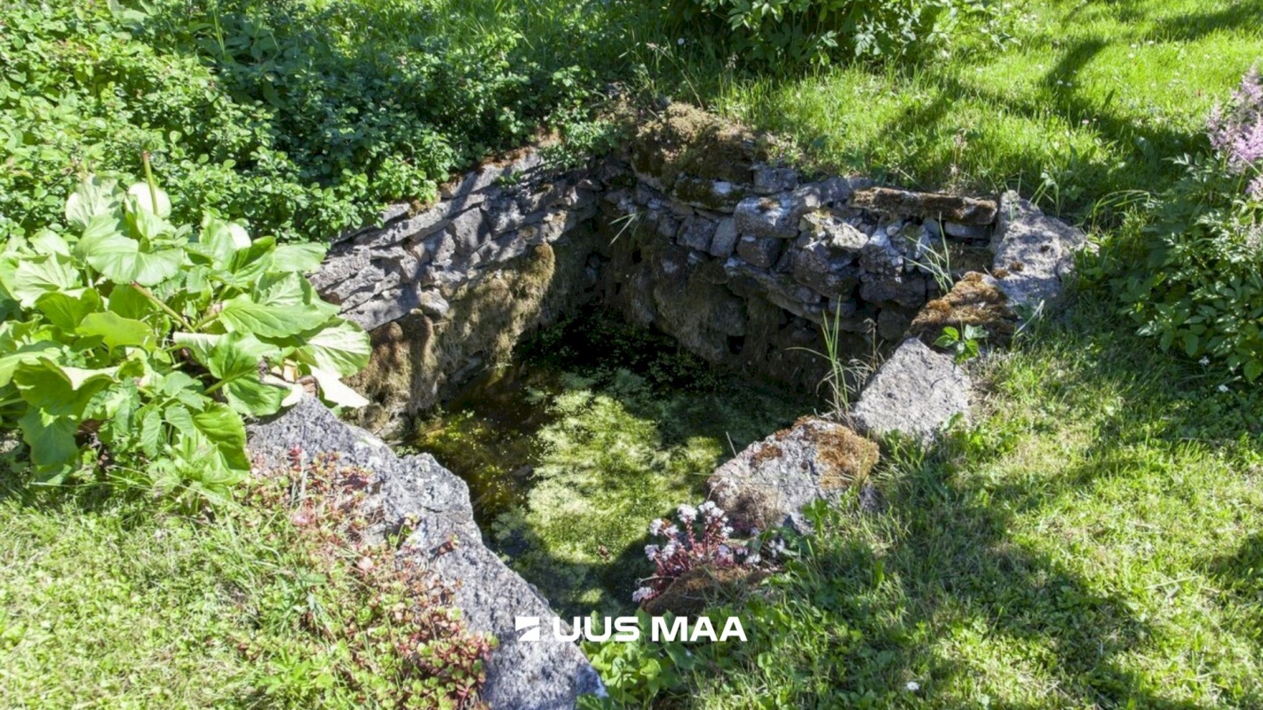 Lääne-Harju vald, Tuulna küla, Nelgi 31