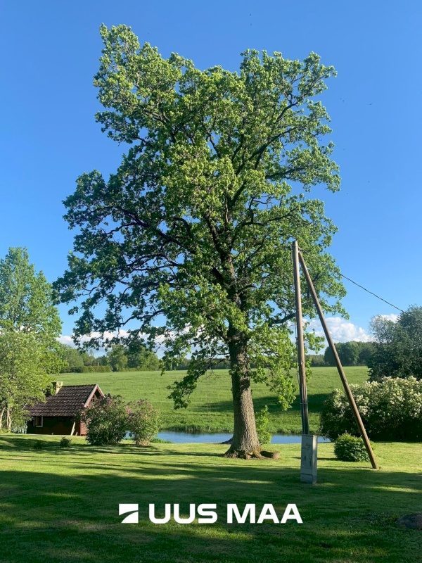 Märjamaa vald, Kirna küla