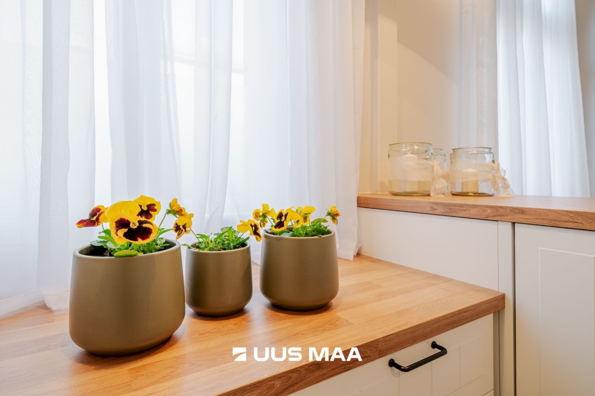 Tartu linn, Tartu linn, Karlova, Kastani 91