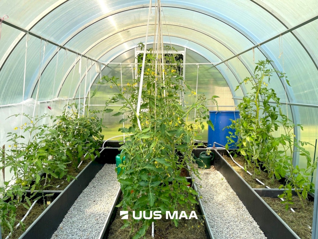 Lääne-Harju vald, Paldiski linn, Ülase tn 7