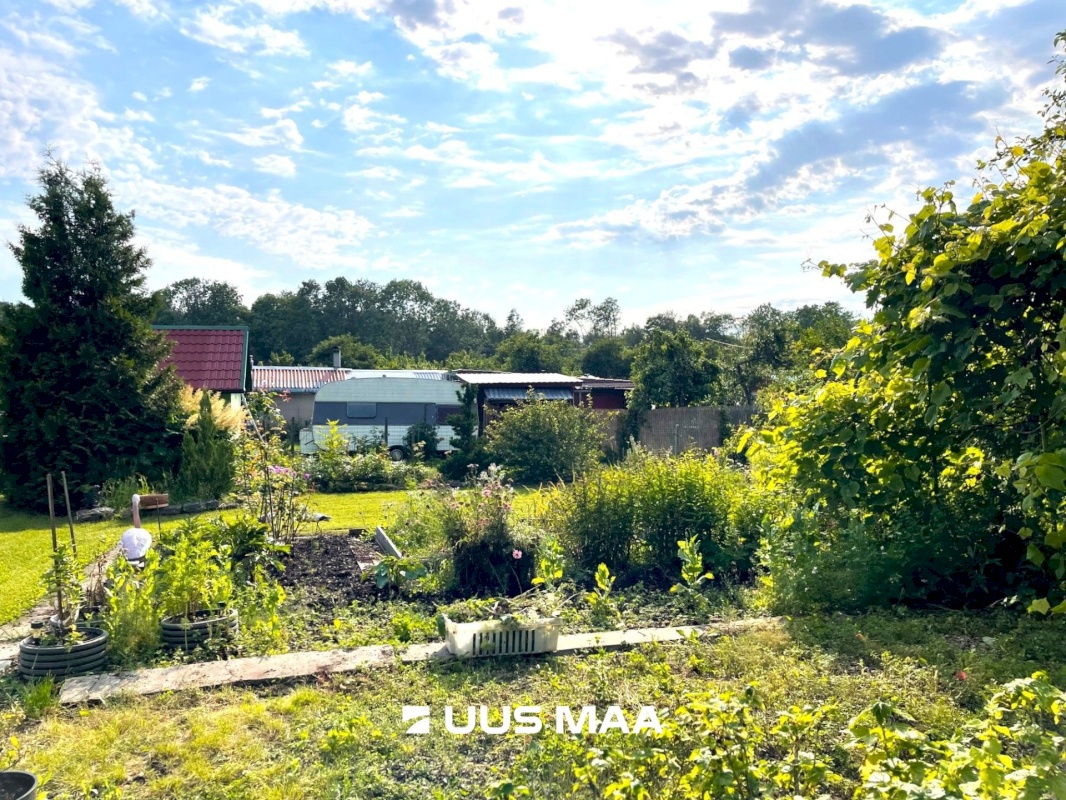 Lääne-Harju vald, Paldiski linn, Ülase tn 7