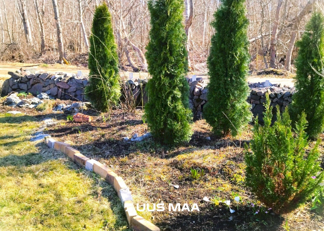 Lääne-Harju vald, Paldiski linn, Mooni tn 8